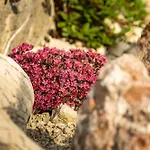 Lacklehen * Ramsau bei Berchtesgaden