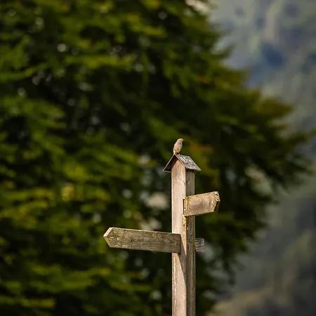 Апартаменты Lacklehen