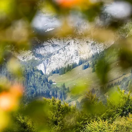 Apartment Lacklehen *