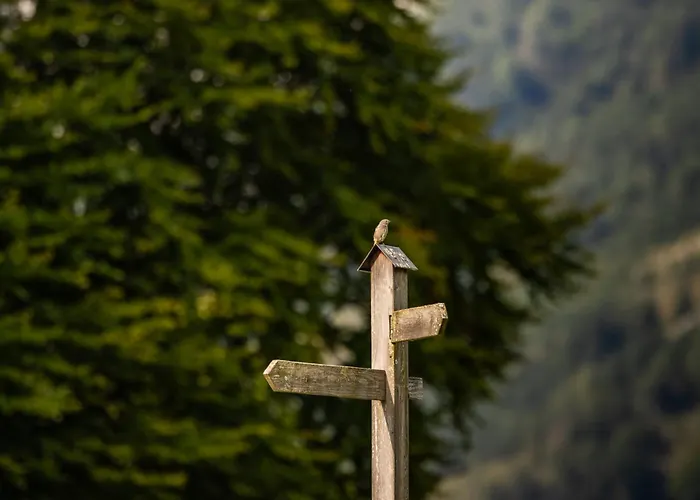 Appartement Lacklehen